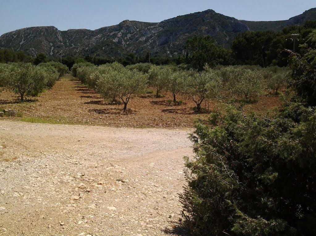 Le Mas Des Genets Saint-Rémy-de-Provence Exteriör bild