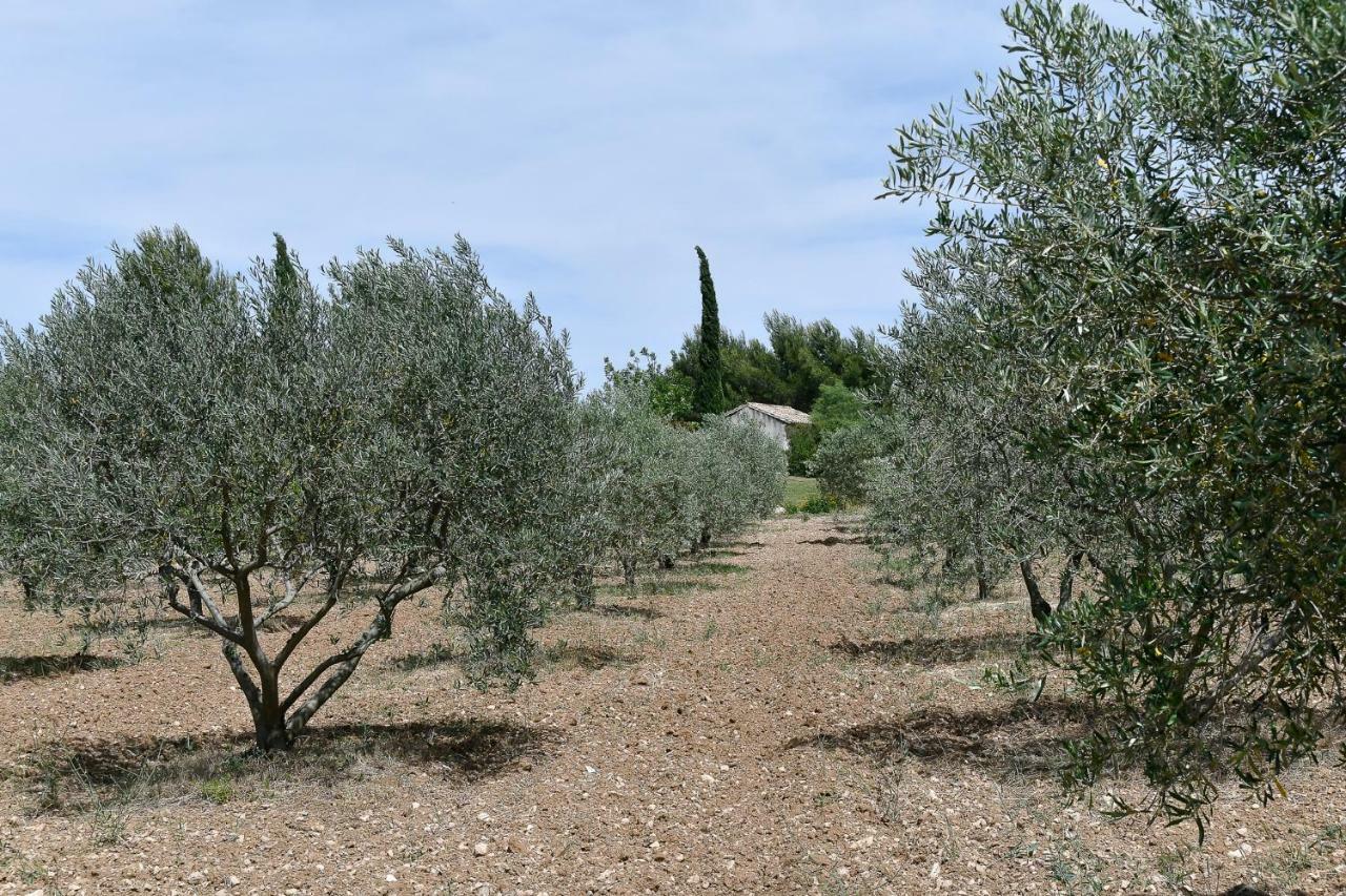 Le Mas Des Genets Saint-Rémy-de-Provence Exteriör bild